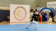 武术大赛参赛选手：传统武术 一场与自己的对话