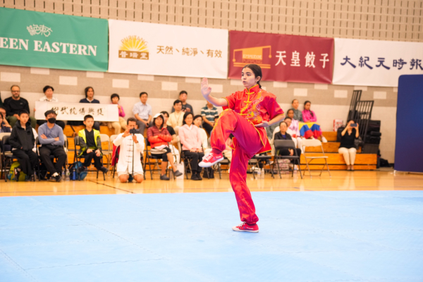 組圖一：第八屆新唐人武術大賽拳術組初賽風采