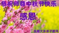 辽宁法轮功学员恭祝李洪志大师中秋好(19条)