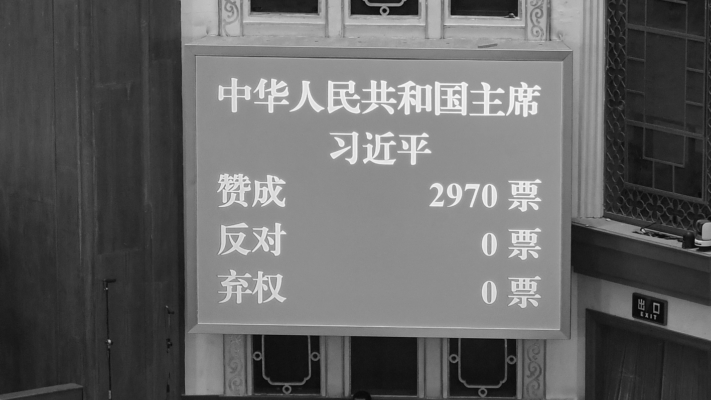 【禁聞】黨魁吹捧人大制度 橡皮圖章再引關注