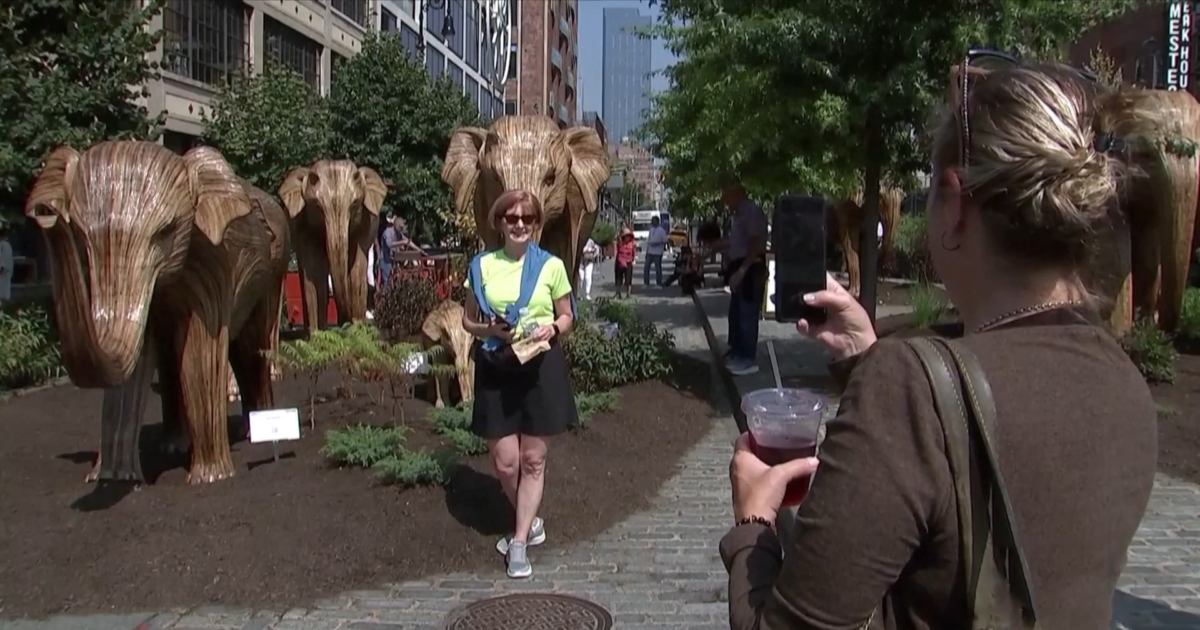 Trunkful of Surprise: 100 Colorful Elephants Invade New York Streets in Stunning Indian Artist's Wildlife Tribute - News Directory 3