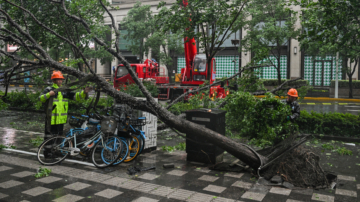 台风“贝碧嘉”横扫上海 无锡大水淹城