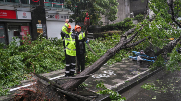 “贝碧嘉”台风袭击中国 多地受灾严重