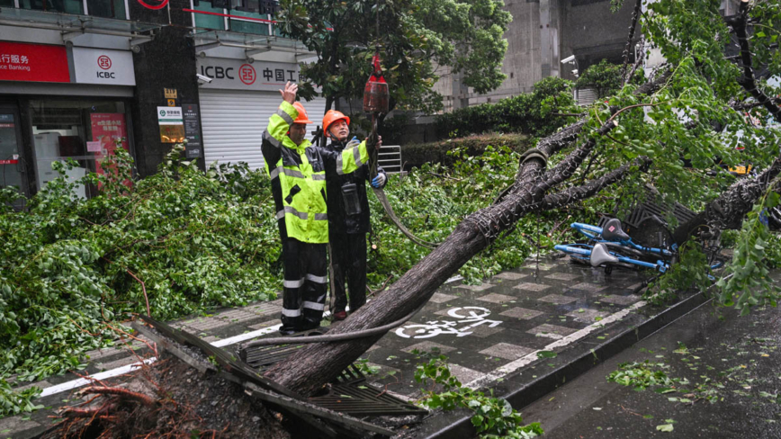 “贝碧嘉”台风袭击中国 多地受灾严重