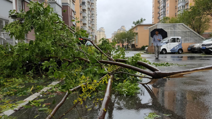 「貝碧嘉」帶來暴雨 皖豫魯多地內澇損失大