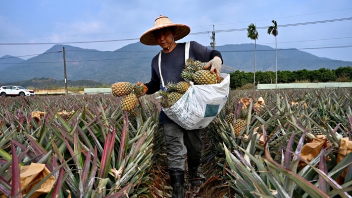 中共取消34項農產品免關稅 農業部：影響有限