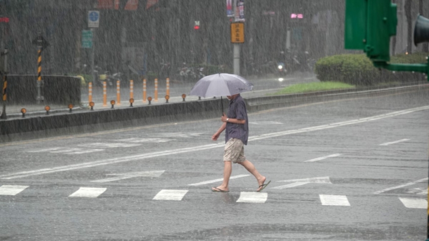 北市大雨破百毫米 西門町福星國小路樹壓損1車