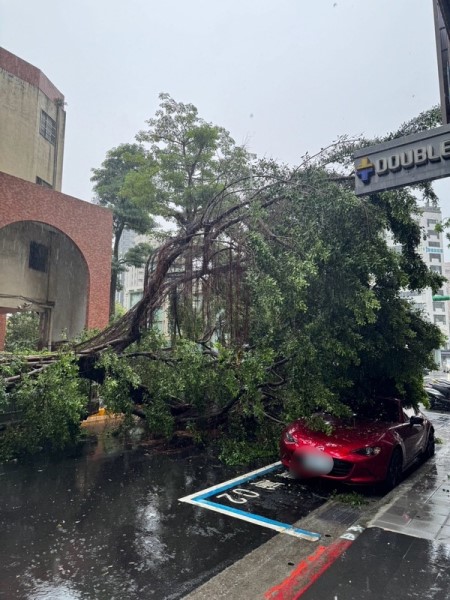 北市大雨破百毫米 西門町福星國小路樹壓損1車