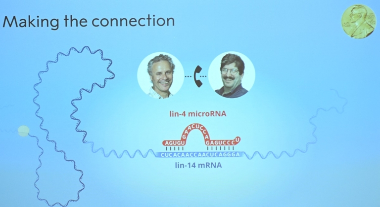 諾貝爾醫學獎 兩位學者研究microRNA共同獲得