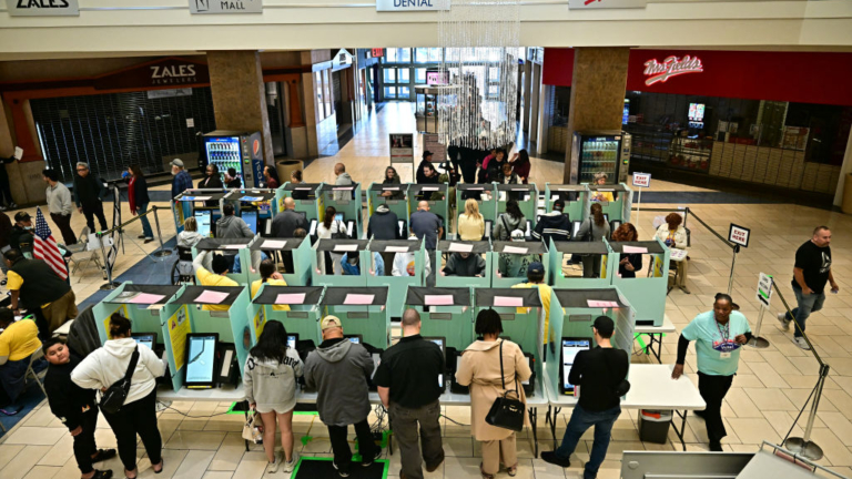 選舉調查：多州非公民註冊為選民、重複投票