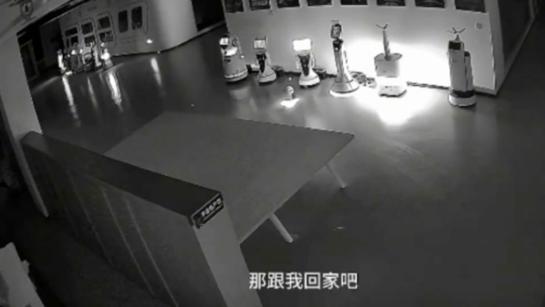 小機器人鼓動回家 「拐走」一群機器人（視頻）