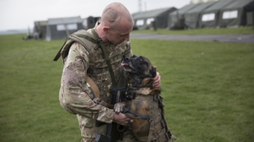 服務犬計畫 讓PTSD退伍軍人重回正常生活