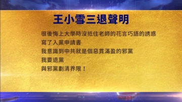 【禁聞】11月13日三退聲明精選