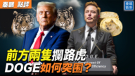 【秦鹏观察】马斯克DOGE如何运作？极具挑战