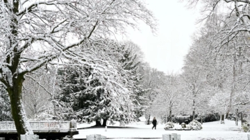 玉树银花 美欧多地迎今冬第一场雪