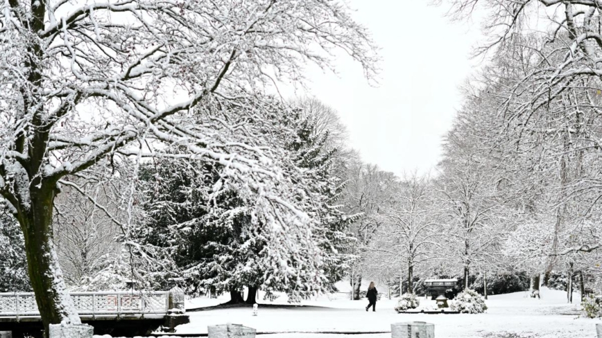 玉樹銀花 美歐多地迎今冬第一場雪