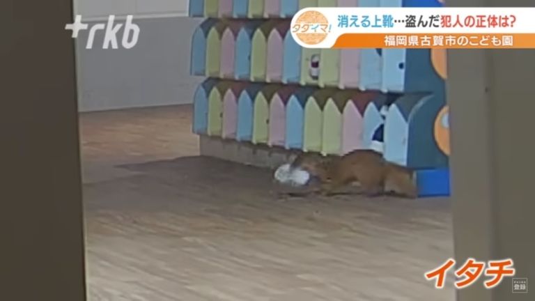 日本幼稚園學童鞋頻失竊 真相令人哭笑不得