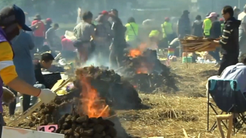 千人焢窑趣味无穷 地瓜节邀民众验体田园风光