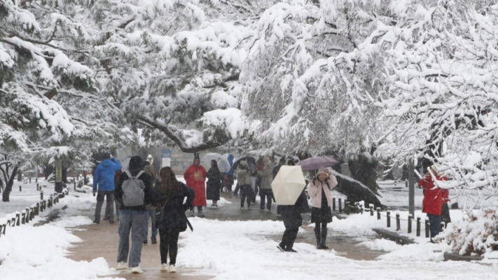 首尔降大雪创117年来11月纪录 班机延误、景点关门(组图)