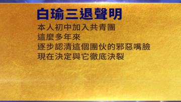 【禁聞】11月28日三退聲明精選