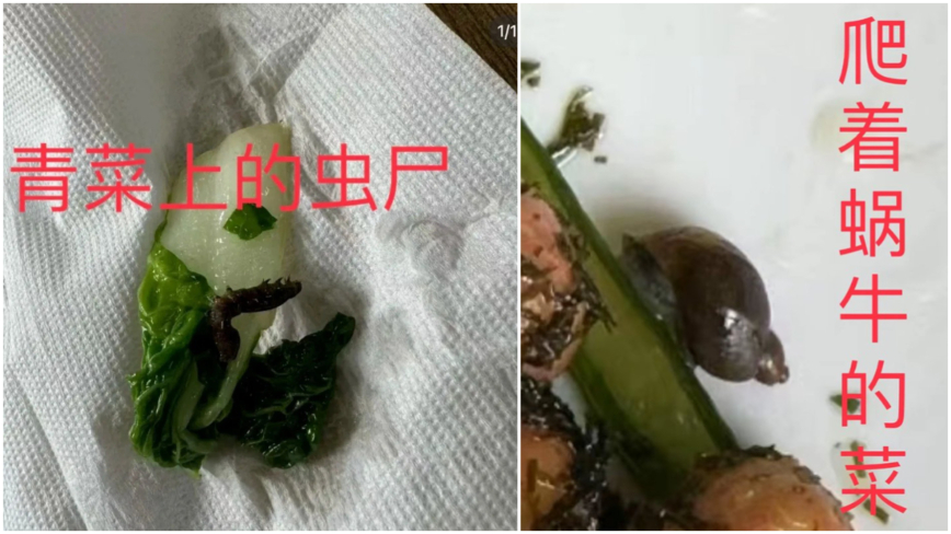 滬學校上百學生腸胃不適 家長進校用餐當場嘔吐