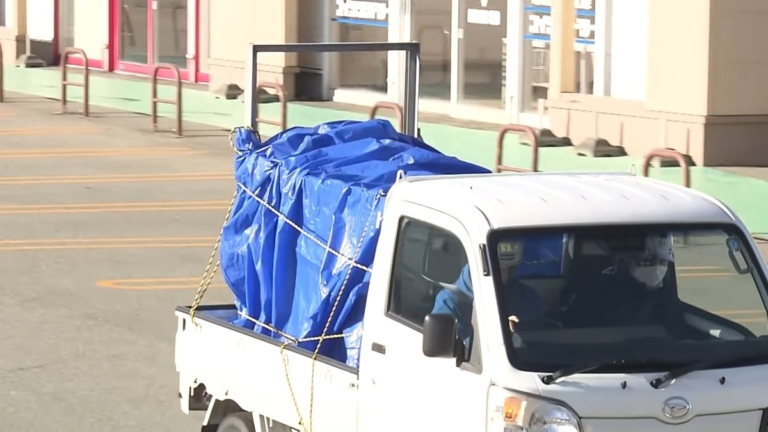 擋不住蜂蜜誘惑 熊闖入日本超市3天後自投羅網