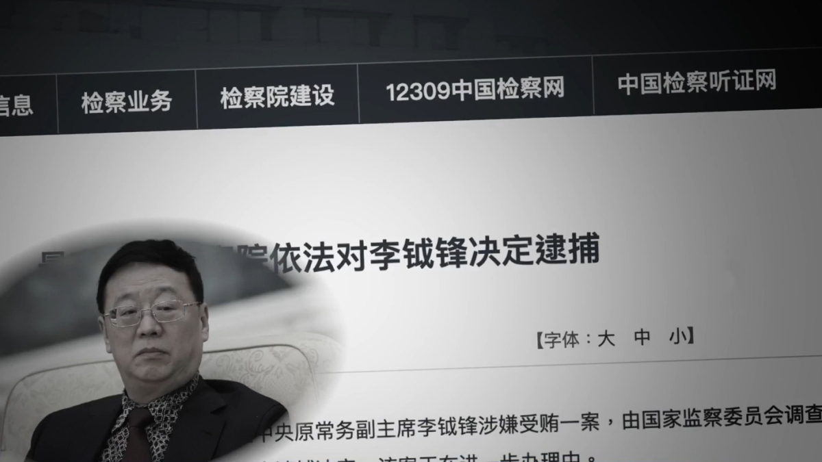 【禁闻】中共花瓶党下场惨 「民主党老虎」被捕