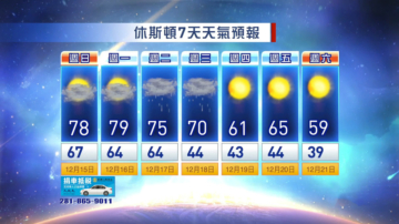 12月14日休斯頓天氣預報