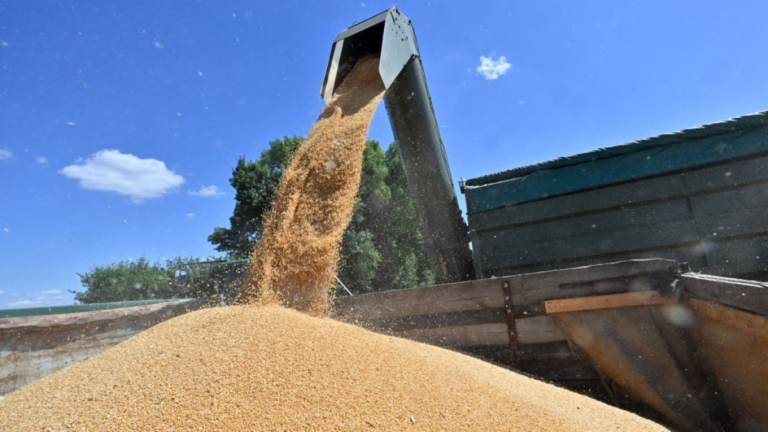 敘利亞面臨糧食危機 烏克蘭出手助一臂之力