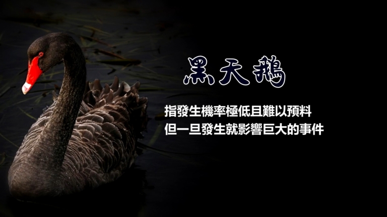 【禁聞】2024黑天鵝頻發 更大的在2025？