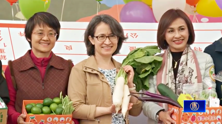 美濃白玉蘿蔔季登場 台副總統初體驗拔蘿蔔