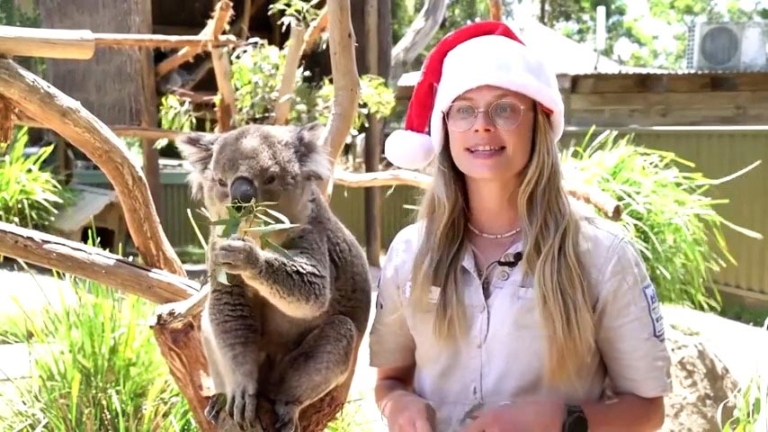 澳洲到英國 動物園動物品味專屬聖誕大餐