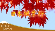 【你好日本】日本各地枫叶狩