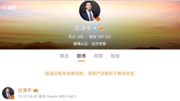 暗諷中共黨魁？中國知名經濟學家任澤平被禁言