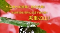 天津法輪功學員恭祝李洪志大師新年好(21條)