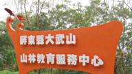 大武山山林教育中心 前进山林技能及资讯前哨