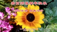 北京法輪功學員恭祝李洪志大師新年好(18條)