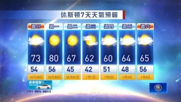 休斯頓天氣預報（12月29日至1月4日）