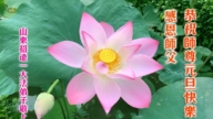 山東法輪功學員恭祝李洪志大師新年好(22條)