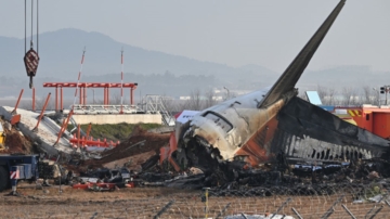 濟州航空失事前 乘客發簡訊「有隻鳥卡在機翼」