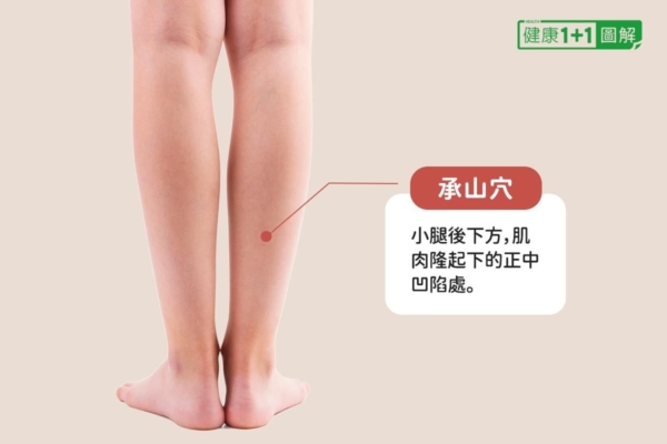 【她健康】中醫師告訴你，如何準備旅遊的常備藥