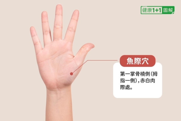 【她健康】中醫師告訴你，如何準備旅遊的常備藥