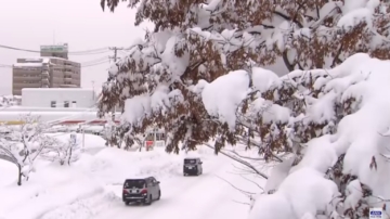 强烈寒流降下大雪 日本青森县酸汤积雪逾4公尺