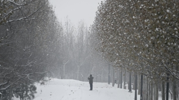 “小寒最怕天不寒”当日无雨雪有啥预兆？