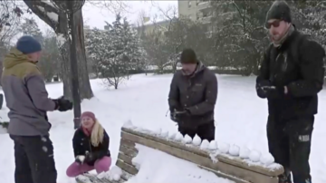 新年降大雪 美國首都居民歡樂打雪仗