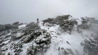強烈冷氣團來襲 嘉明湖下雪 玉山北峰飄雪
