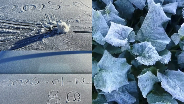 廣州凍到結冰 最低溫零下3℃
