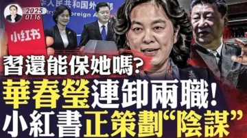 【拍案驚奇】華春瑩卸兩職 小紅書正策劃陰謀？