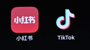 【华府访谈】网络安全专家：从TikTok转小红书不安全