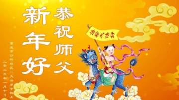 重庆法轮功学员恭祝李洪志大师新年好(18条)